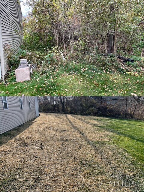 Before-and-after of brush removal beside residential property
